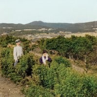 Она там что, в кущах конопли рыдает от счастья?