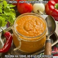 "Перспективы так себе...": в соцсетях обсуждают новый цвет 2025 года по версии Panton