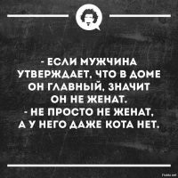 Вот эти коты и есть настоящие хозяева.