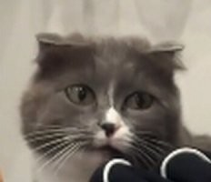 Знаешь, кто ты после этого