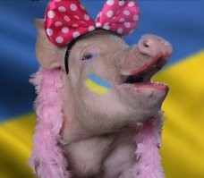 «Я полночи о нём думала»: следователи не стали наказывать блогершу, пожалевшую главаря террористов из «Крокуса»