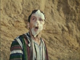 Профессиональная езда на верблюдах завораживает