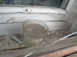 Там стакан с солью должен стоять.