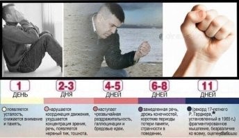Опубликована информация, сколько дней Адам Кадыров может продержаться без новых медалей