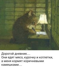 Кот играет с кормом