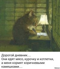 Кот пытается выпросить куриную ножку