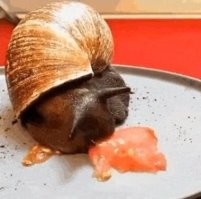 А что вы хотели - 70тыщ зубов всё-таки.