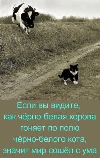 Весёлые картинки
