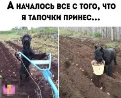 Не ищите здесь смысл. Здесь в основном маразм