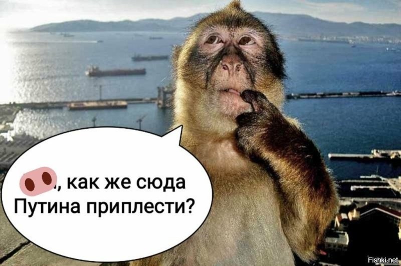 Вы несколько ошибаетесь - у Украины НЕТ своей земли: гнида все продал амерам. Так что землю у амеров забираем.
А вообще как вы ведете пропаганду несколько однообразно - обязательно надо впихнуть ОЛИГАРХОВ.
Типа как западники про Путина.