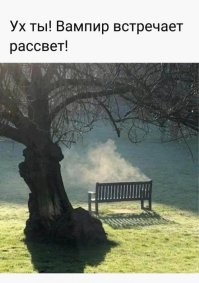 Хоттабыч набздел и свалил