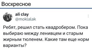 Лучше тюленем