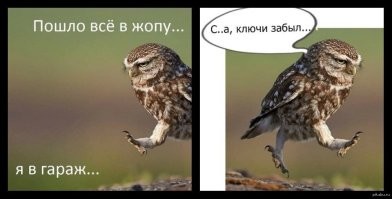 Одна большая семья