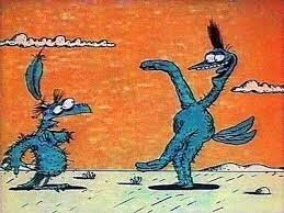 Эй птичка полетели с мной там много еды :)