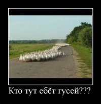 «Сколько можно заказывать? Вы что, люди, с ума сошли?»