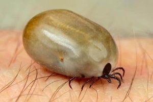 )))