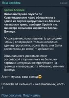 Это насколько надо быть тупым, чтоб козырять независимостью ровно за месяц до Нового Года, когда единственное, что производит твоя страна в промышленных масштабах, это мандарины? Мало того, что они их не продадут, так ещё и на утилизацию потратятся. Вангую: через 2-3 недели, фермеры привезут им эти мандарины прям к зданию правительства (как французы гавно).