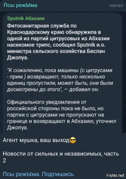 Это насколько надо быть тупым, чтоб козырять независимостью ровно за месяц до Нового Года, когда единственное, что производит твоя страна в промышленных масштабах, это мандарины? Мало того, что они их не продадут, так ещё и на утилизацию потратятся. Вангую: через 2-3 недели, фермеры привезут им эти мандарины прям к зданию правительства (как французы гавно).