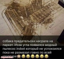 Домашний робот "сбежал" от своих хозяев после землетрясения