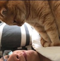 Да и будильщики ни куда не делись, просто у каждого теперь свой.