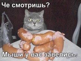 Улыбатор