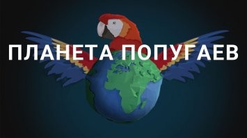 Тайное мировое сообщество решает важные вопросы