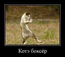 23+ забавных персонажа, которые не хотят загонять себя в рамки и вести себя в соответствии с общепринятыми стандартами