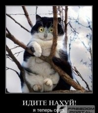 23+ забавных персонажа, которые не хотят загонять себя в рамки и вести себя в соответствии с общепринятыми стандартами