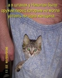 18 тестов на внимательность от мастеров маскировки