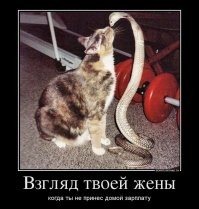 23+ забавных персонажа, которые не хотят загонять себя в рамки и вести себя в соответствии с общепринятыми стандартами