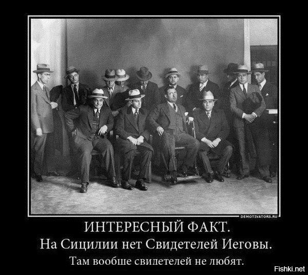 Солянка от 09.12.2024