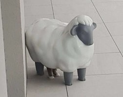 Это вымя