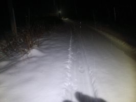 Эх... Мне даже с доставкой курьером, приходится идти на улицу и открывать ворота для, въезда в дачный посёлок. 

А вчера так засыпало снегом, что пришлось идти до расчищенной дороги. Немного меньше километра, в одну сторону. 
Курьер просто бы не проехал. 
Самое обидное, что у нас трактор почистил немного позже, чем курьер приезжал. 

Как раз с волокушей ходил. 
Правда, без лыж.