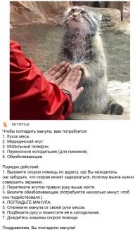 Примерно так: