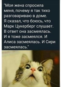 «Подозрительный разговор» двух чат-ботов