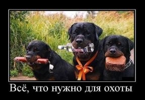 Веник - фигня. Вот что нужно мужику.