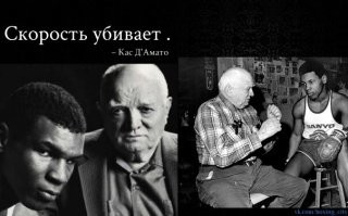 Тренировка боксёра