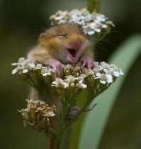 Утро многих людей