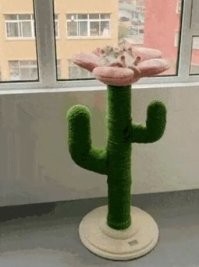 Утро многих людей