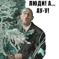 Семья установила в доме огромное количество новогодних ёлок