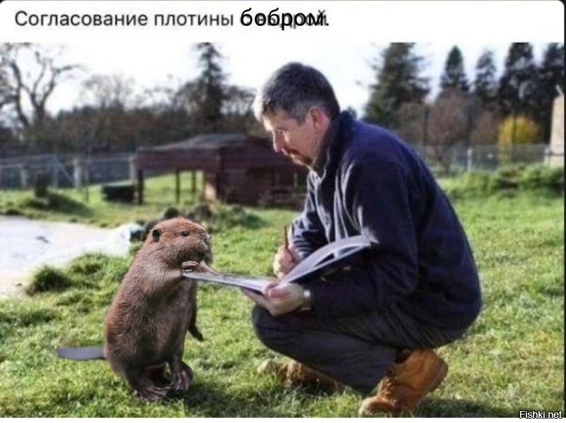 Смешные картинки