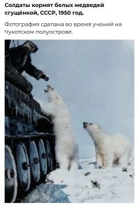 Текст на 95% фейковый, он кочует по интернету и многие продолжают копировать.
Фото Михаила Гермашова. Снимок сделан в конце 1970-х, и на вездеходе, конечно там не солдаты.