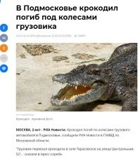 Не знаю как там в Европе с крокодилами, а вот в подмосковье вполне себе встречаются.