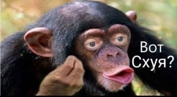 Госдума приняла закон о запрете брать в школы детей мигрантов без знания русского языка