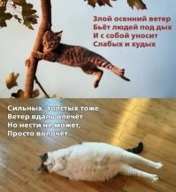 Как на самом деле выглядели римские гладиаторы