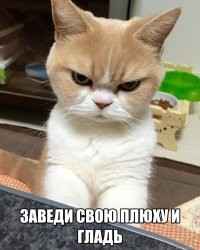 Не ищите здесь смысл. Здесь в основном маразм