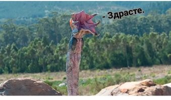 Через некоторое время...