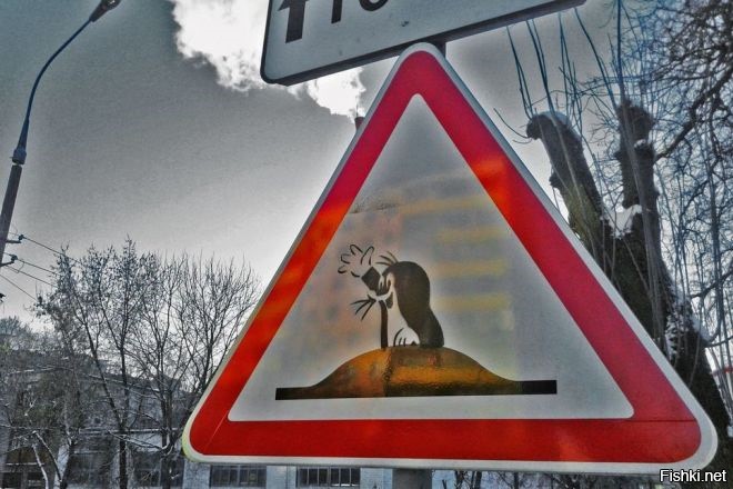 Самые странные дорожные знаки в мире