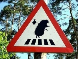 Самые странные дорожные знаки в мире