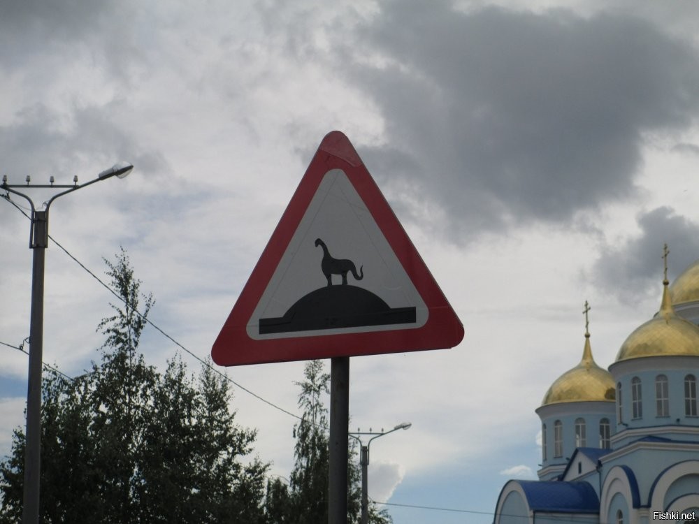 Самые странные дорожные знаки в мире